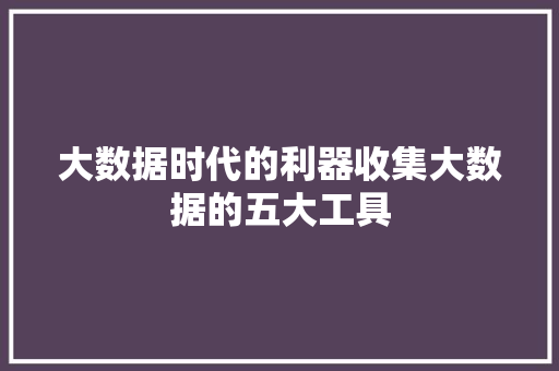 大数据时代的利器收集大数据的五大工具