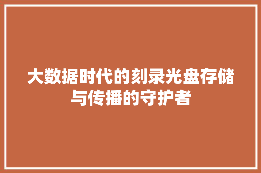 大数据时代的刻录光盘存储与传播的守护者