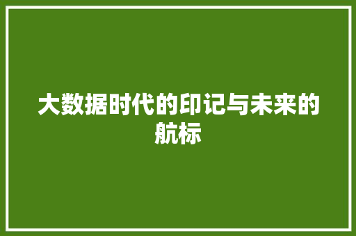 大数据时代的印记与未来的航标