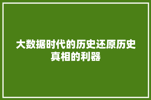 大数据时代的历史还原历史真相的利器
