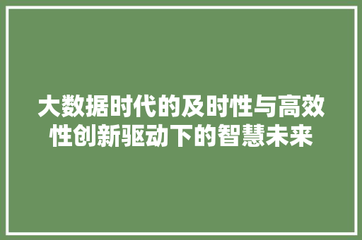 大数据时代的及时性与高效性创新驱动下的智慧未来
