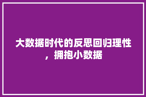 大数据时代的反思回归理性，拥抱小数据