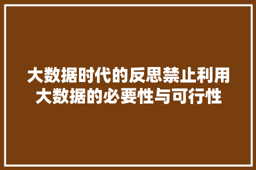 大数据时代的反思禁止利用大数据的必要性与可行性