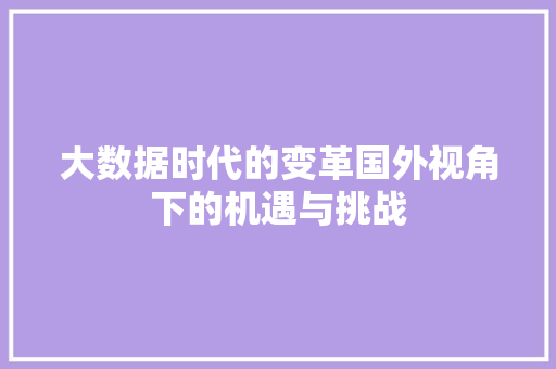 大数据时代的变革国外视角下的机遇与挑战