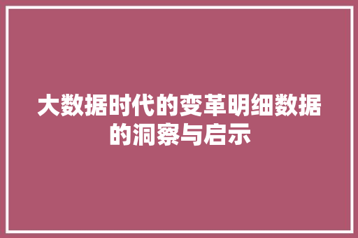 大数据时代的变革明细数据的洞察与启示