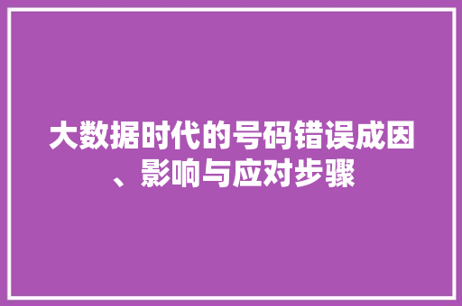 大数据时代的号码错误成因、影响与应对步骤