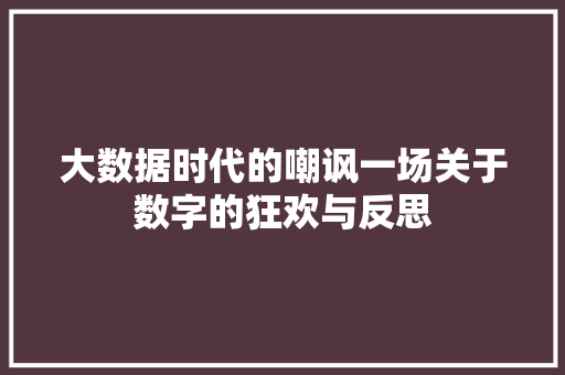 大数据时代的嘲讽一场关于数字的狂欢与反思