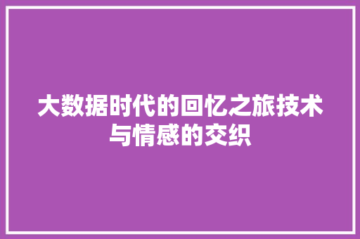 大数据时代的回忆之旅技术与情感的交织