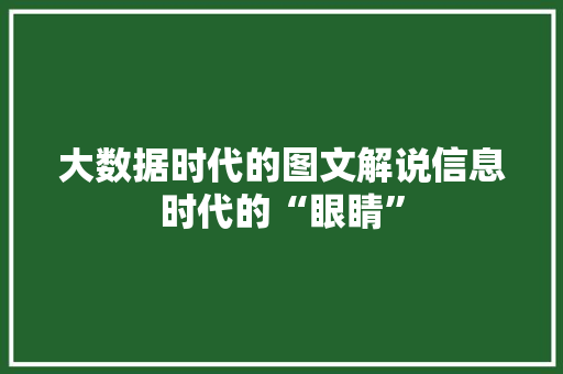 大数据时代的图文解说信息时代的“眼睛”
