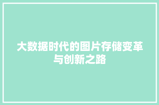 大数据时代的图片存储变革与创新之路