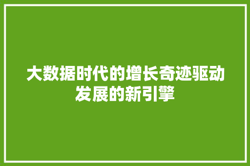 大数据时代的增长奇迹驱动发展的新引擎