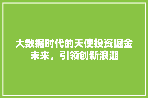 大数据时代的天使投资掘金未来，引领创新浪潮