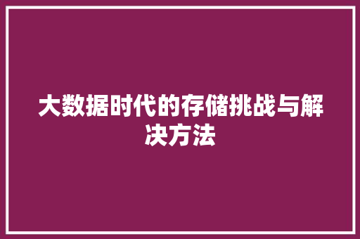 大数据时代的存储挑战与解决方法