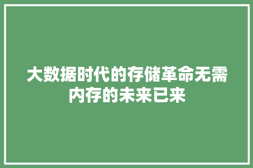 大数据时代的存储革命无需内存的未来已来