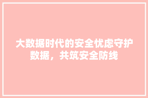 大数据时代的安全忧虑守护数据，共筑安全防线