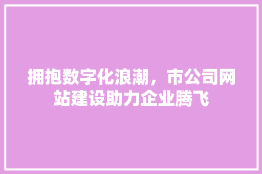 拥抱数字化浪潮，市公司网站建设助力企业腾飞