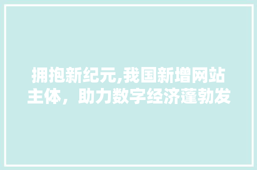 拥抱新纪元,我国新增网站主体，助力数字经济蓬勃发展