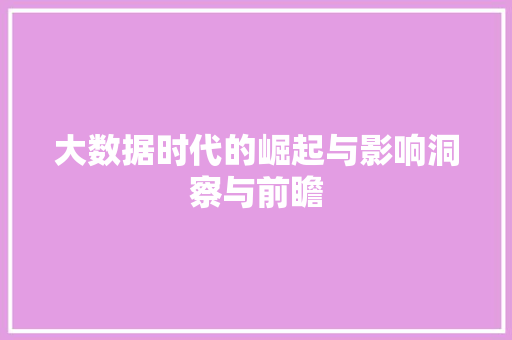 大数据时代的崛起与影响洞察与前瞻