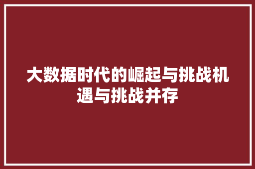 大数据时代的崛起与挑战机遇与挑战并存