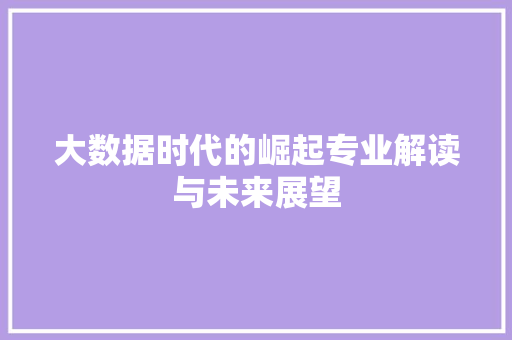 大数据时代的崛起专业解读与未来展望