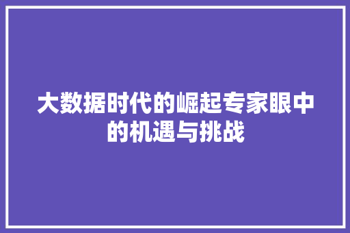 大数据时代的崛起专家眼中的机遇与挑战