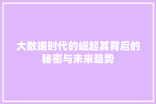 大数据时代的崛起其背后的秘密与未来趋势