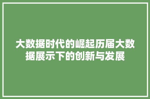 大数据时代的崛起历届大数据展示下的创新与发展