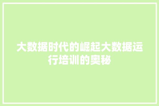 大数据时代的崛起大数据运行培训的奥秘