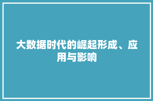 大数据时代的崛起形成、应用与影响