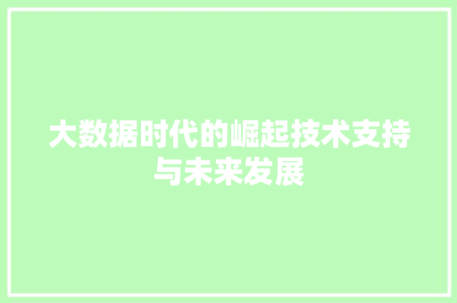 大数据时代的崛起技术支持与未来发展