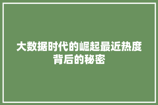 大数据时代的崛起最近热度背后的秘密