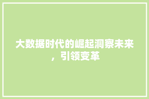 大数据时代的崛起洞察未来，引领变革