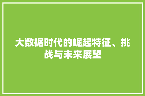 大数据时代的崛起特征、挑战与未来展望 大数据时代的崛起特征、挑战与未来展望