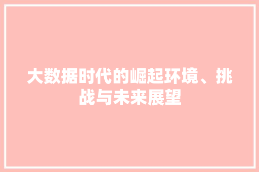 大数据时代的崛起环境、挑战与未来展望
