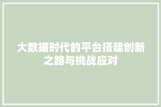大数据时代的平台搭建创新之路与挑战应对 Web前端