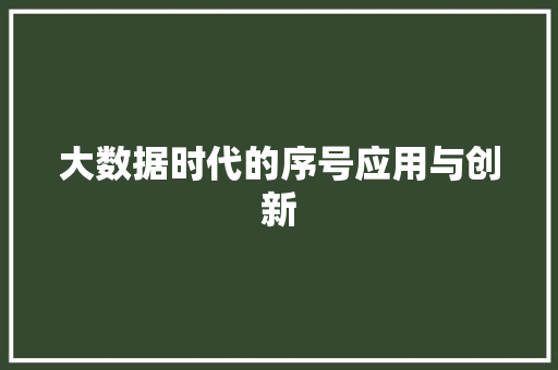 大数据时代的序号应用与创新