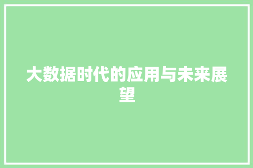 大数据时代的应用与未来展望