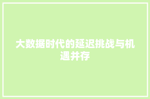 大数据时代的延迟挑战与机遇并存