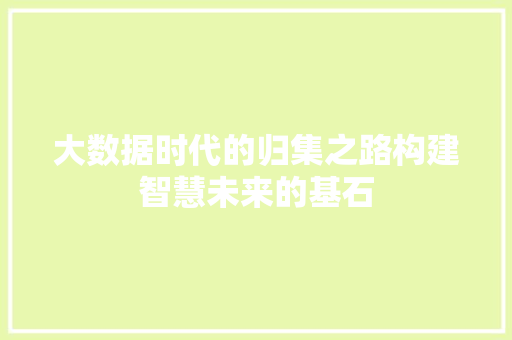 大数据时代的归集之路构建智慧未来的基石