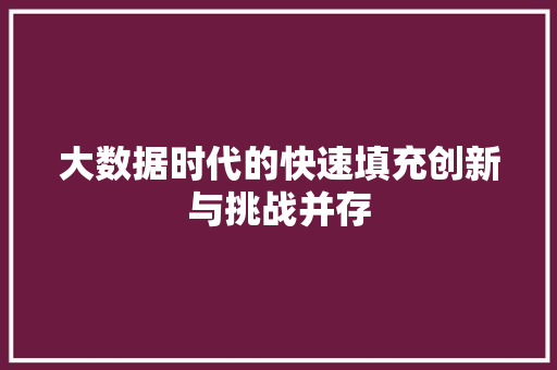 大数据时代的快速填充创新与挑战并存 建站教程