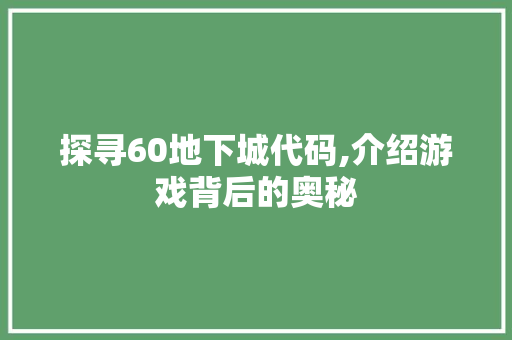 探寻60地下城代码,介绍游戏背后的奥秘