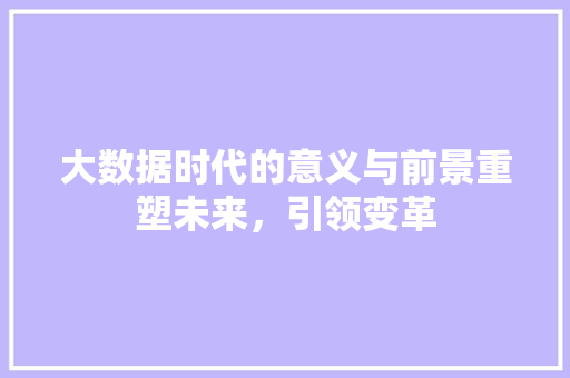 大数据时代的意义与前景重塑未来，引领变革