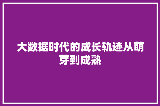 大数据时代的成长轨迹从萌芽到成熟