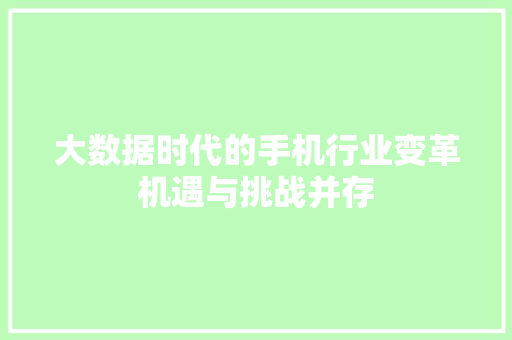 大数据时代的手机行业变革机遇与挑战并存