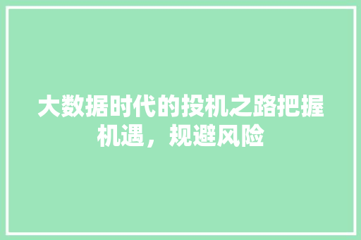 大数据时代的投机之路把握机遇，规避风险