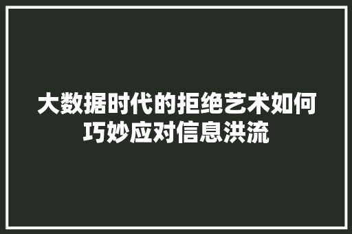 大数据时代的拒绝艺术如何巧妙应对信息洪流