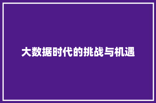 大数据时代的挑战与机遇