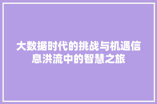 大数据时代的挑战与机遇信息洪流中的智慧之旅