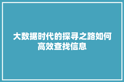 大数据时代的探寻之路如何高效查找信息 WordPress教程