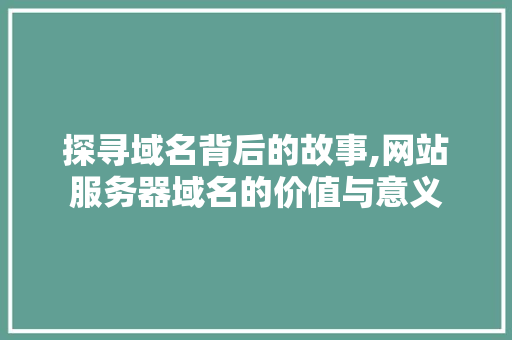 探寻域名背后的故事,网站服务器域名的价值与意义